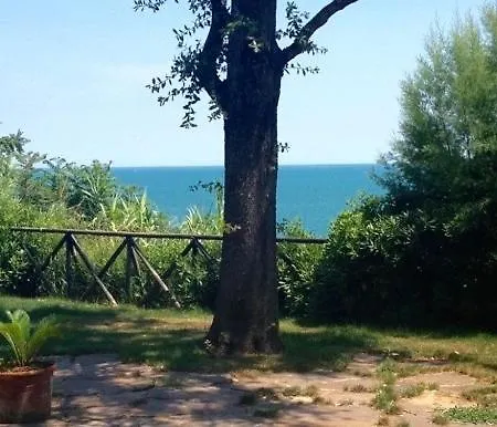 N76 Meravigliosa Sul Mare * Numana