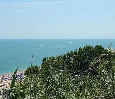 N76 Meravigliosa Sul Mare Numana